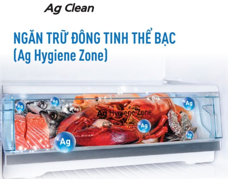 Trang bị ngăn trữ đông tinh thể bạc Ag Hygiene Zone