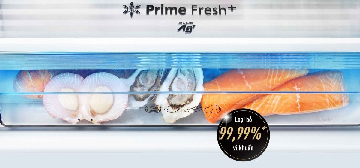 Tủ lạnh Panasonic NR-BX421XGKV 380 lít ngăn đá dưới 4 Panasonic NR-BX421XGKV với công nghệ Ag Clean với tinh thể Ag+