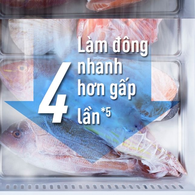 Tủ lạnh Multi Door Panasonic NR-F503GT-X2 491 lít inverter 6 Công nghệ Fresh Freezing trên tủ lạnh Panasonic NR-F503GT-X2