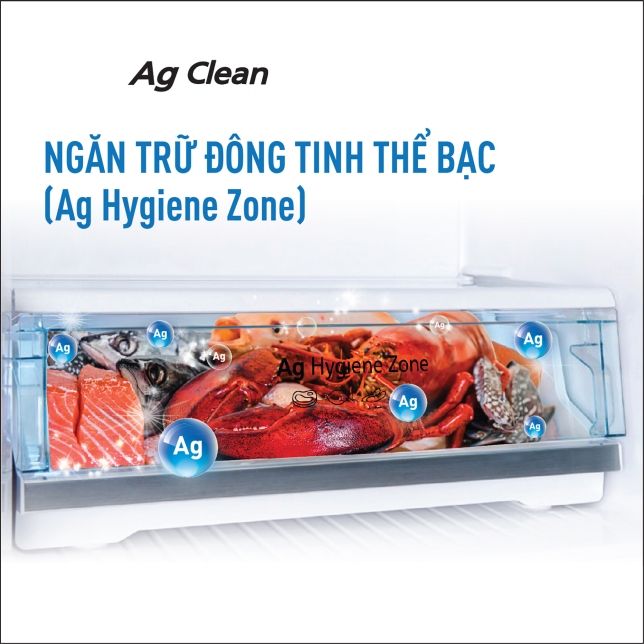 Tủ lạnh Panasonic NR-TV301GVKV inverter 265 lít 6 Ngăn trữ đông tinh thể bạc Ag Hygiene Zone