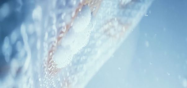 Hệ thống ActiveFoam
